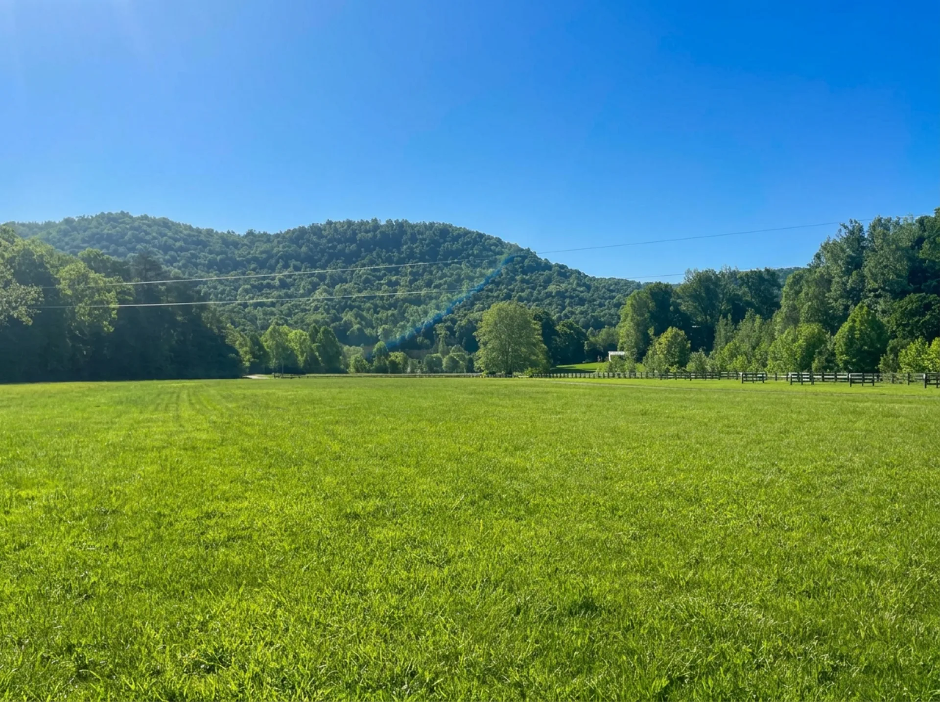 Mountain views from The Holler